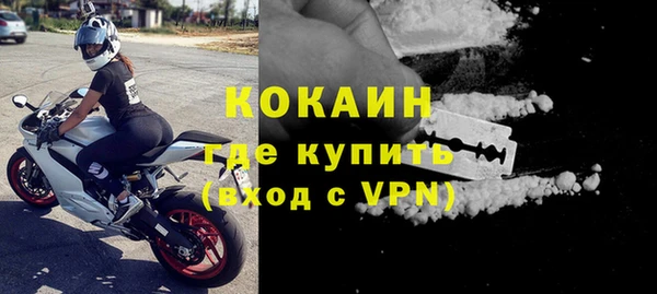 молекула духа Осинники