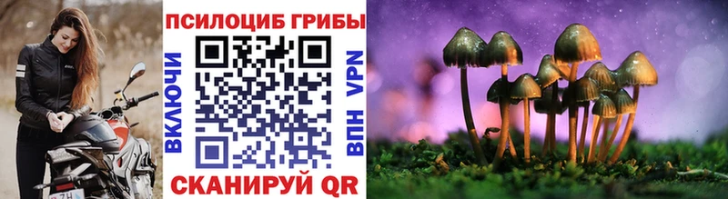 Галлюциногенные грибы мицелий  наркотики  Салехард 