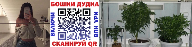 Канабис планчик Салехард